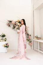 3 Piece Stitched Organza  Suit