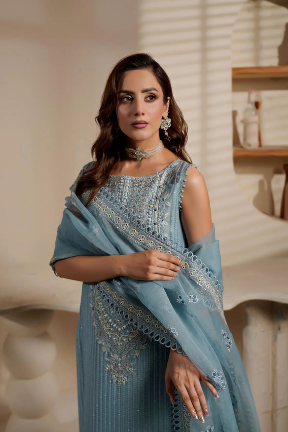 3  Piece  Stitched Organza suit - Ready to Wear