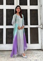 3 Piece Ready To Wear Chiffon Suit